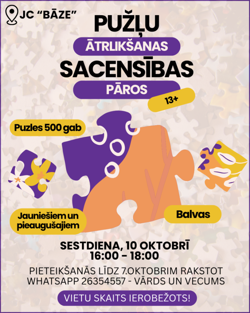puzlu_sacensibas